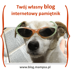 psi blog